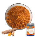 Free Samples Herbal Extract Turmeric Root Powder 95%/98% Curcumin for Food Additives